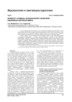 Концепт "судьба" в казахской и арабской языковых картинах мира