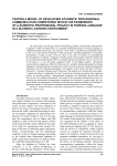 Testing a model of developing students’ professional communication competence within the framework of a scientific professional project in foreign language in a blended learning environment