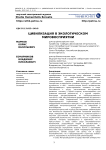 Цивилизация в экологическом мировосприятии