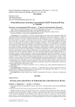 Инвазибельные сосновые насаждения ООПТ Закамский бор (г. Пермь)
