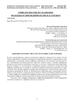 Цифровое неравенство и система общего образования