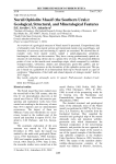 Nurali ophiolite massif (the Southern Urals): geological, structural, and mineralogical features