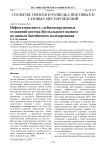 Нефтегазоносность глубокопогруженных отложений востока Вуктыльского надвига по данным бассейнового моделирования