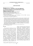 Морфология, строение и состав циркона из метапесчаников алькесвожской толщи (Приполярный Урал)