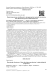 Фенотипические особенности гранулоцитов низкой плотности при физиологической беременности