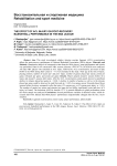 The effect of acl injury on post-recovery basketball performance in the NBA league