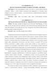 Образ пути-дороги в повести Дениса Осокина "Овсянки"