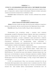 Структура англоязычного интернет-блога спортивной тематики