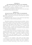 Образ времени в романе «Обитель» Захара Прилепина
