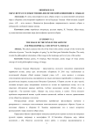 Образ ветра в художественно-философской концепции Н. Эмыкан