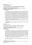 Анализ капиллярных пор карбонизированного цемента