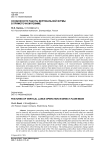 Особенности работы вертикальной фурмы в прямоточном режиме