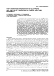 First Principles Investigation of Electronic and Electrical Properties of Carbon Nanotube Interfaces