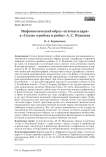 Мифопоэтический образ «птичьего царя» в «Сказке о рыбаке и рыбке» А. С. Пушкина