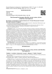 Патогенный потенциал Bacillus cereus sensu stricto и Bacillus thuringiensis