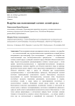 Вырубка как полноценный элемент лесной среды