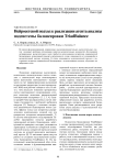 Нейросетевой подход к реализации агента анализа подсистемы балансировки TriadBalance