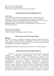 Медиадидактика высшей школы