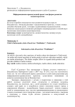 Информационно-краеведческий проект как форма развития медиатворчества