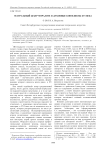 Театральный жанр моралите и духовные конфликты XVI века