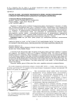 Род лук (Allium L.) во флоре Ганзуринского кряжа: анализ разнообразия и эколого-географические особенности (Западное Забайкалье)