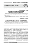 К вопросу о лексических средствах выражения временного дейксиса