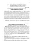 Теоретическое обоснование выделения этапов сделки слияния и поглощения