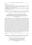 Разработка методики тестирования сетевых коммутаторов Spacewire