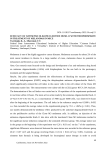 Effecacy of antisense oligonucleotide HUSH-11 with thiophosphate in treatment of melanoma in mice
