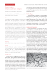 Protein system of bacillus anthracis antigens