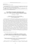 On the influence of zirconium on the damping capacity of Mn – 40 % Cu alloy in the field of amplitude-independent damping