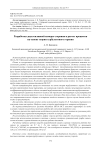 Разработка двухтопливной камеры сгорания и расчет процессов на основе теории турбулентного горения