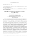 Infrastructure for collecting data and simulating security threats in the internet of things network
