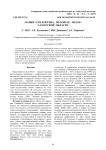 Майки (Coleoptera, Meloidae: Meloe) Самарской области