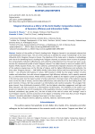 Telegram Channels as a Mirror of the Arctic Reality: Comparative Analysis of Dynamics, Efficiency and Information Profile