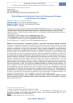 Methodological and Institutional Gaps in the Development Strategies of the Russia’s Arctic Regions