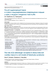 Роль b-адренорецепторов в стресс-индуцированном повреждении сердца у крыс в модели синдрома Такотсубо