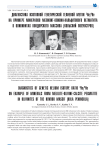 Диагностика изотопной генетической гелиевой метки 3He/4He на примере минералов мелилит-оливин-кальцитового пегматита в оливинитах Ковдорского массива (Кольский полуостров)
