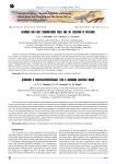 Devonian and early carboniferous coals and the evolution of wetlands