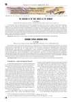 The evolution of the first forests in the Devonian