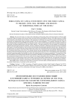 Прогнозирование поступления инвестиций в основной капитал регионов на период до 2024 года: методы и результаты разработки территориального разреза прогноза развития России