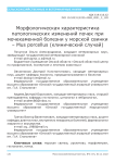 Морфологическая характеристика патологических изменений почек при мочекаменной болезни у морской свинки - Mus porcellus (клинический случай)