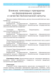 Влияние гуминовых препаратов на формирование урожая и качество белокочанной капусты