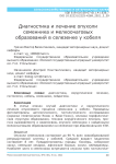 Диагностика и лечение опухоли семенника и мелкоочаговых образований в селезенке у кобеля