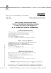 Численное моделирование распространения микропластика в прибрежной зоне водоема вследствие волнового движения