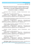 Патогистологическая характеристика частного случая базальноклеточной опухоли кожи у собаки