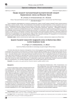 Кварц-кианит-мусковитовый магматический слюдит Борисовских сопок на Южном Урале