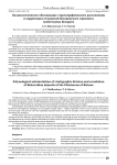 Палинологическое обоснование стратиграфического расчленения и корреляции отложений Беловежского горизонта плейстоцена Беларуси
