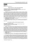 Природа неравенства: социально-философский ракурс