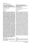 Геолого-петрофизические и минералого-петрографические исследования кимберлитовых пород